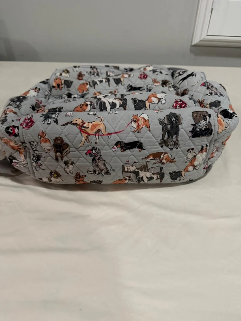 Vera Bradley Dog Backpack